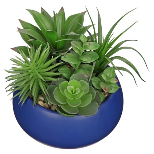 Hollyone Fake Plants Artificial Succulents in Pots Faux Succulent Arrangement Potted Plant in Blue Ceramic Planter Bowl for Home Decor Office Desk Bathroom Shelf Living Room Indoor Decorations - color: Premium Blue