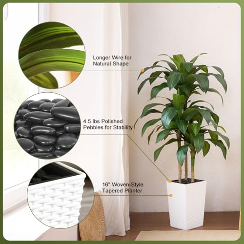 VeriNatural 5FT Artificial Dracaena Tree - UV Resistant Faux Tropical Plant, Potted Fake Tree with Taper Planter & Pebbles - Indoor Outdoor Greenery for Home, Porch, Living Room, Bedroom Decor, VN127 - color: White, size: 5ft