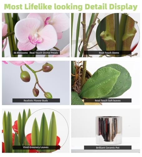 CXGS Artificial Orchid Flower Plants Real Touch Faux Orchids in Ceramic Vase 20.9'' Pink Phalaenopsis Orchid Fake Flower Arrangement Home Indoor Decor - color: Pink- Silver (12cm)