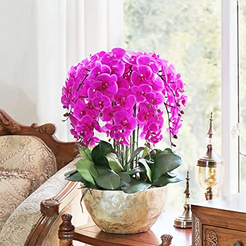 FagusHome 8 Pcs Artificial Phalaenopsis Flowers 32 Inch Artificial Orchid Flowers Fake Flowers Stem Plants for Home Décor (Purple) - color: Purple