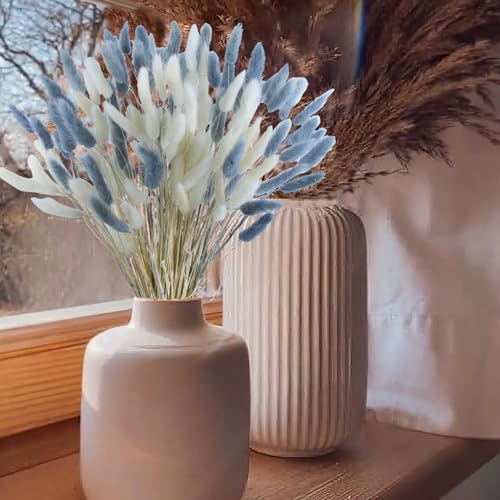 CISDUEO 120pcs Dried Bunny Tails Flowers Lagurus Ovatus Tail Dried Flowers Pampas Grass White and Gray Natural Dried Floral Arrangement for Boho Decor Home Wedding DIY Farmhouse Table Christmas (17") - color: White and Grey