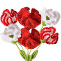 6Pcs Handmade Carnation Crochet Flower Bouquet, Completed Carnations Artificial Flower, Carnation Flower Wedding Bouquet (Red) - color: Red