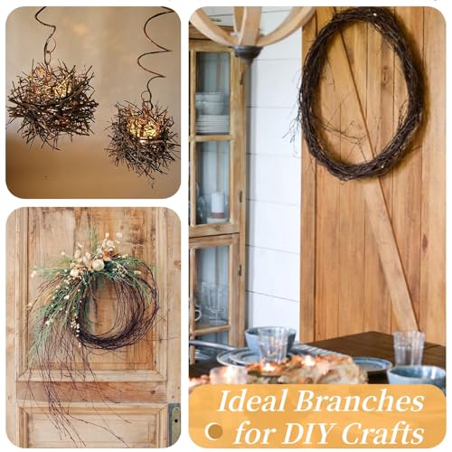 60Pcs Real Dried Birch Twigs Branches - 16” Natural Decorative Birch Branches for Easter Vases, Birch Sticks for DIY, Centerpiece, Floral Arrangment, Twig Wreath, Rustic Home Decor - size: 60