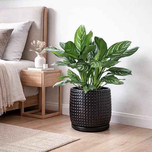 D'vine Dev 8 Inch Ceramic Beaded Stoneware Planter Pot - Flower Pot with Drainage Holes and Saucers for Indoor Succulent Plants or Flowers, Ebony Matte, 27-C-Q-6 - color: Ebony Matte, size: 8.8 Inch