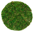 SuperMoss (26295) Moss Soil Toppers, Fresh Green, 4 (3 Units) - color: Fresh Green, size: 4" (3 units)