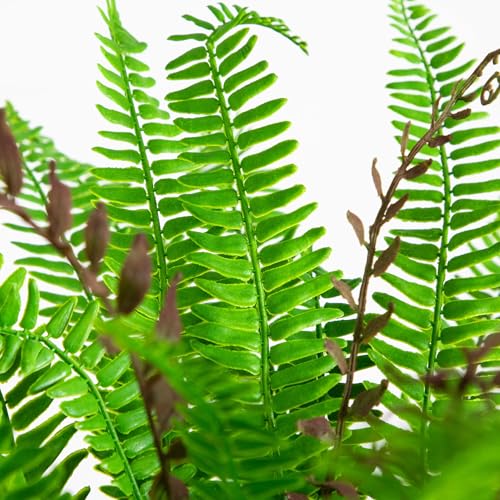 Nearly Natural 23in. UV Resistant Artificial Boston Fern Plant with Real Touch Leaves (Indoor/Outdoor)