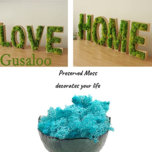 Moss Preserved Moss Natural Fresh Green Moss for Craft Arts Floral Project Wall Decor Table Decor Wedding Centerpieces Garden Artificial Terrariums Decoration -Water Blue 3.5OZ - color: Water-blue, size: 3.5oz