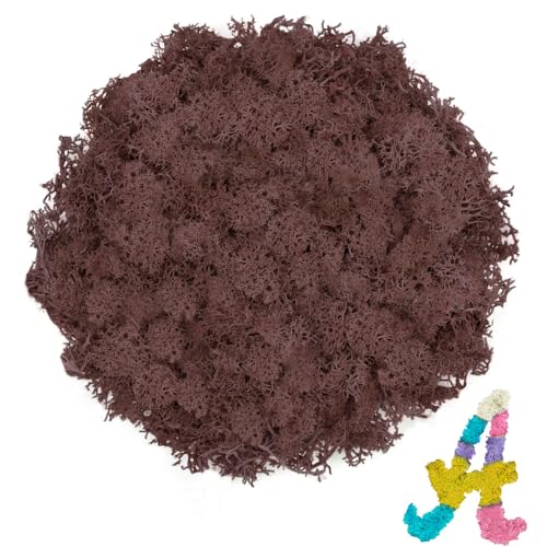 Preserved Reindeer Moss, 3.5 oz Brown Decorative Craft Moss for Potted Plants, Fairy Gardens, DIY Wall Art, Floral Arrangements, Christmas Easter Wedding Holiday Decor - color: Brown, size: 3.5 OZ
