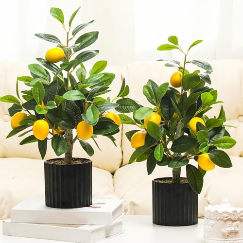 Giegxin 2 Pcs Artificial Lemon Tree 15.7 Inches Fake Artificial Potted Plants Faux Lemon Citrus Tree with Pot Faux Plants Indoor for Home Kitchen Office Living Room Table Desk (Black Pot) - color: Black Pot
