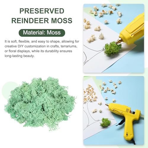 MECCANIXITY 3oz Preserved Reindeer Moss, Green Decorative Artificial Fake Moss for Potted Plants Indoor Crafts Lichen Centerpieces Decor - color: Green, size: 3oz
