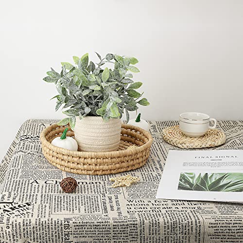 Hopewood Faux Plants, Small Fake Plant for Bathroom, Decorative Artificial Plants for Farmhouse Desk Shelf Decor with A Weave Basket (9.8inch) - color: Green Plant Style a