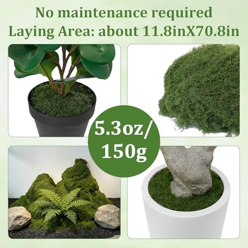 dallisten Fake Green Moss for Plants Indoor, 5.3oz Artificial Moss for Crafts, DIY Fairy Garden Décor, Table Centerpieces, Wedding Floral Arrangements, Model Making & Indoor Outdoor Home Decoration - color: Dark Green