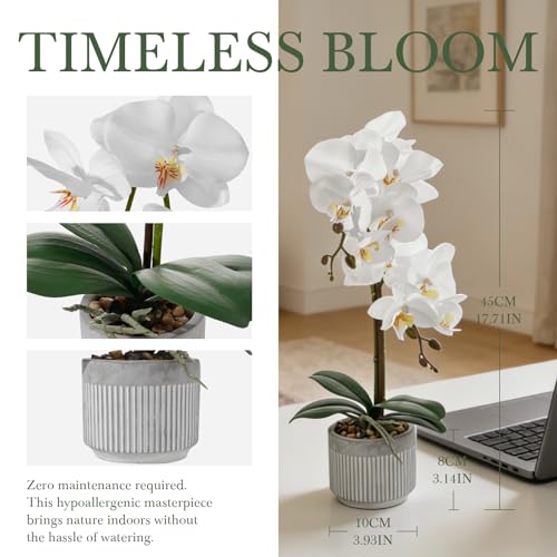 17.7" White Artificial Orchid Flowers in Ceramic Pot, Realistic Silk Phalaenopsis Arrangement with Stone, Waterproof Fake Orchid Plant for Bathroom, Home Office Table Top Centerpiece Decor(Orchid 2) - color: Orchid 2
