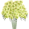 M METERXITY 6-Pack Artificial Orchid Flowers 9 Large Petals 37 Inch Faux Phalaenopsis Silk Bouquets Real Touch Light Green Fake Orchids for Home/Wedding/Christmas/Party/Garden Office - color: Light Green
