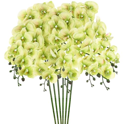 M METERXITY 6-Pack Artificial Orchid Flowers 9 Large Petals 37 Inch Faux Phalaenopsis Silk Bouquets Real Touch Light Green Fake Orchids for Home/Wedding/Christmas/Party/Garden Office - color: Light Green