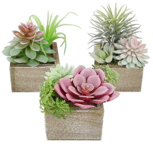Succulent Plants Artificial, 3 Pack Small Fake Plants in Wood Pot for Home Decor, Farmhouse Artificial Plants Indoor for Living Room Bathroom Bedroom Office Kitchen Desk Wedding Coffee Table Decor - color: Symphony