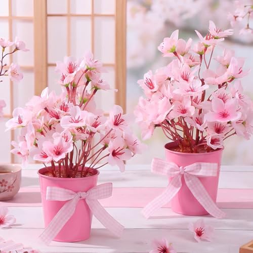 Suncalla 2 Pack Small Artificial Cherry Blossom Plant in Pots Faux Flower Potted Plants Pink Arrangement Rustic Home Decor 7.9" Tall for Sakura Japanese Table Centerpiece Windowsill Indoor Decor - color: Pink, style: Cherry