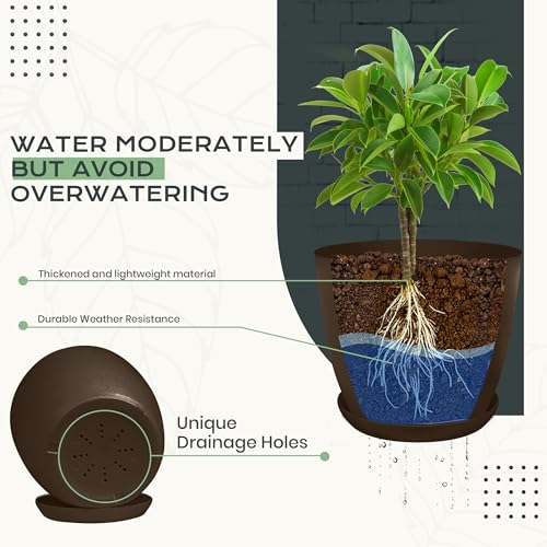 Utopia Home - Plant Pots Indoor with Drainage - 7/6.6/6/5.3/4.8 Inches Home Decor Flower Pots - Pack of 10 Plastic Planters for Indoor Plants, Cactus, Succulents Pot - Brown - color: Brown, size: Pack of 10
