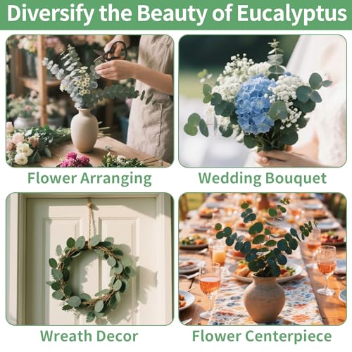 12PCS Dried Eucalyptus Bundle 17'' Real Eucalyptus Stems 100% Natural Fresh Leaves Hanging Plants Greenery Stems for Shower Home Decor Flower Arrangement Wedding