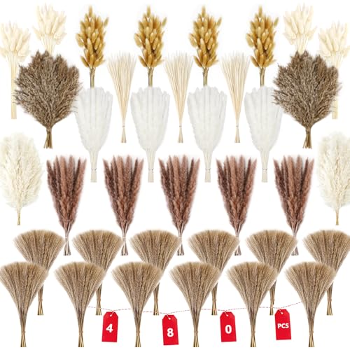 480 Stems Dried Pampas Grass Decor-Bulk Pampas Grass,Bunny Tail,Reed,Fluffy Pompas Grass.Boho Flower Bouquets for Wedding,Spring,Table Vase,Farmhouse Decor,Living Room,Beach,Apartment and Boho Decor - size: 480 Pcs