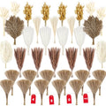 480 Stems Dried Pampas Grass Decor-Bulk Pampas Grass,Bunny Tail,Reed,Fluffy Pompas Grass.Boho Flower Bouquets for Wedding,Spring,Table Vase,Farmhouse Decor,Living Room,Beach,Apartment and Boho Decor - size: 480 Pcs
