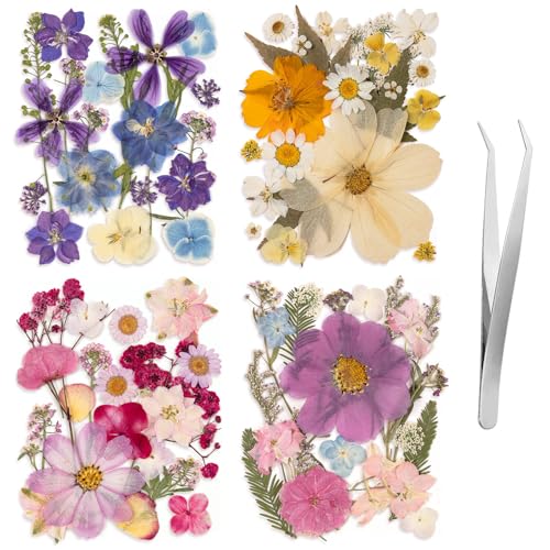 80PCS Spring Large Pressed Flowers Leaves , Real Nature Dry Flowers for Resin Craft, Larage Pressing Floral with Tweezers Set for DIY Jewelry Making Nail Card Scrapbook Art - size: Vintage