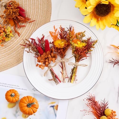 12PCS Fall Dried Flowers Bouquet for Vase Various Dried Wildflowers with Stems Mini Handmade Wildflowers Natural Real Flowers Bulk Flowers for Crafts DIY Wedding Decor (Fall,Burnt Orange Se - color: Burnt Orange Series
