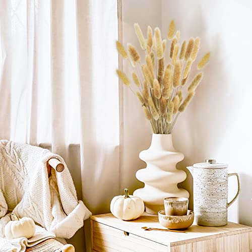 Uieke 17’’ Natural Bunny Tails Dried Flowers, 50 Pcs Dried Lagurus Ovatus, Dried Brown Pampas Grass Decor for Farmhouse Flower Arrangements Wedding Home Boho Party Decorations - color: Brown-50pcs