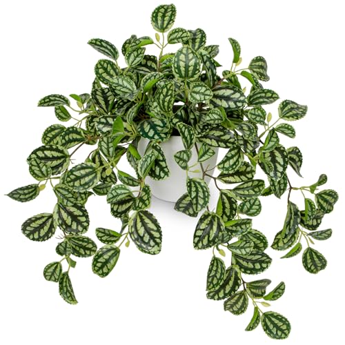 Briful Faux Plant Indoor, 17.7" Artificial Watermelon Peperomia Trailing Plant in White Plastic Pot, Realistic Fake Cascading Greenery for Cabinet Shelf Bathroom Office Table Home Kitchen Decor - color: Forest Green Variegated