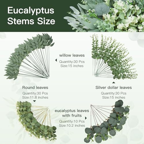 100 Pcs Mixed Artificial Eucalyptus Stems Leaves Bulk, 4 Kinds Faux Greenery Silver Dollar Leaves for Wedding Vase Bouquet Floral Arrangements