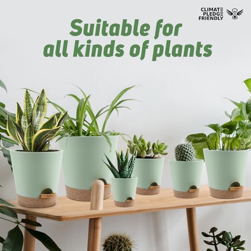 YNNICO Indoor Self Watering Planters with Drainage Holes and Saucers, 8, 7, 6.5, 6, 5.5, 5 Inches, Green, 6 Pots. - color: Green, size: 8+7+6.5+6+5.5+5 inch