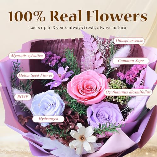 Preserved Roses Eternal Flowers Real Purple Roses that Last 3 Years Home Decor Birthday Gifts for Women Mothers Day Flowers for Wife - color: Purple