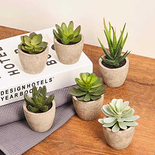 Artificial Succulents Plants Potted Set-Decorative Fake Succulent Plant Faux Plastic Plant Indoor &Outdoor for House Office Desk Bathroom Kitchen DIY Decor Gift Set of 6