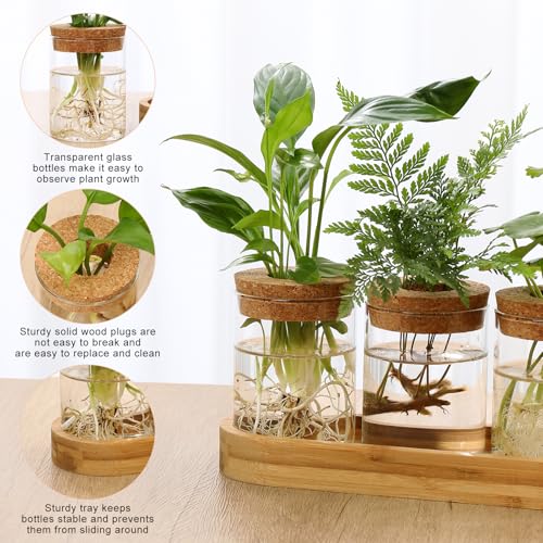 3Pcs Propagation Stations, Plant Terrarium with Lid and Wooden Stand,Desktop Glass Planter Hydroponics Vase,Home Office Living Room Decor Gifts - size: 8.7"L x 3.5"W x 4.7"H