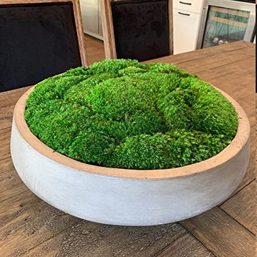 Preserved Pole Moss Pillow Bun Cushion Natural Green Decorative Real Natural Green DIY Kit Terrariums Gardenning Art Wall Decor Florist Decor Easter Table Decor Wedding(9.0 sq.ft., Green-B) - color: Green-b, size: 9.0 sq.ft.