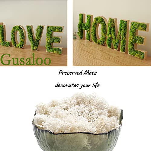 Moss Preserved Natural Fresh Green Moss for Craft Arts Floral Projects, Wall Decor, Table Decor, Wedding Centerpieces, Garden, Terrariums - White, 3.5OZ - color: White01, size: 3.5oz