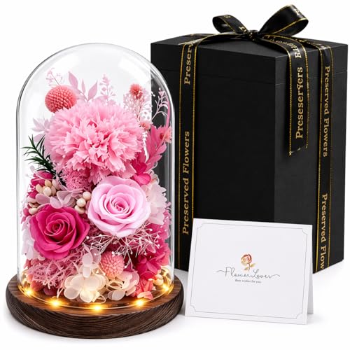 Preserved Flowers in Glass, Preserved Rose with 1 Carnation & 2 Pink Roses Luxury Eternal Flower Gift for Grandma Wife Her Forever Flowers for Anniversary Birthday Lasts 3-5 Years - color: Pink