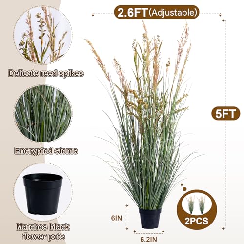 2 Pack Faux Plastic plantas Synthetic Pampas Grass Indoor Outdoor Realistic Floor Plants Artificial Cattail Reed Grass for Home Office Wedding Patio Front Decor Fake Grass Housewarming Gift - color: Pink, size: 5FT