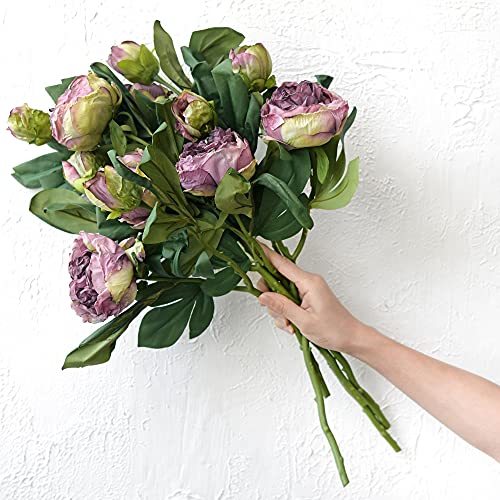 FiveSeasonStuff Vintage Purple Peonies – Realistic Artificial Silk Flowers with Dry-Look Petals, 6 Stems for Rustic Home & Wedding Floral Arrangements - color: Dusty Purple (6 Stems)