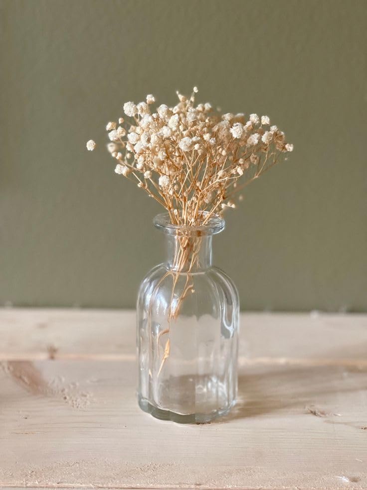120 Pcs Mini Dried Baby Breath Flowers Gypsophila Ivory Flowers Dried Flowers for Vase Wedding Home Office Party Garden Card Making Decor Wreath Floral Craft DIY Art (White) - color: White