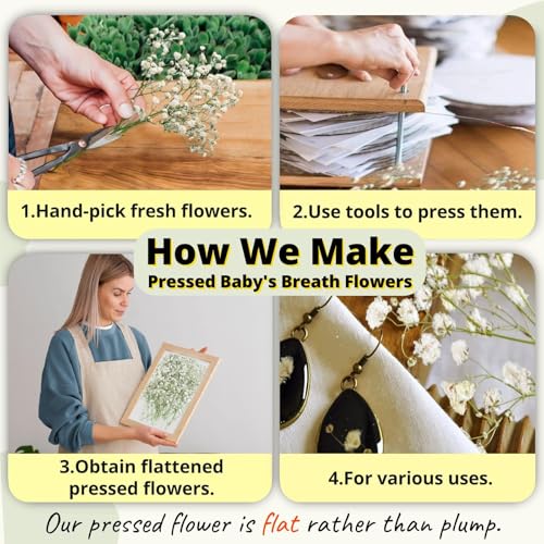 90Pcs Mini Dried Pressed Baby's Breath Flowers Bulk - Natural Flat Real White Gypsophila Baby Breath, Pressed Flowers for Resin, Frame Art, Scrapbooking, Wedding Invitation
