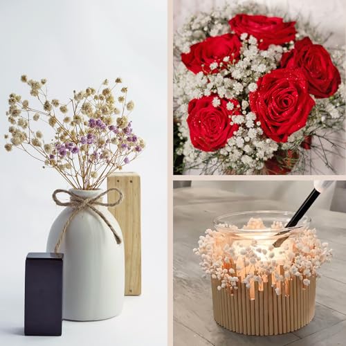 Dried Baby's Breath Bouquet, Pure White 6"-7.8" Portable Mini Gypsophila Flowers, 2000+ Natural Preserved Flowers for Wedding Home Decor DIY Crafts Vase Filler Wreath Card Making - color: White