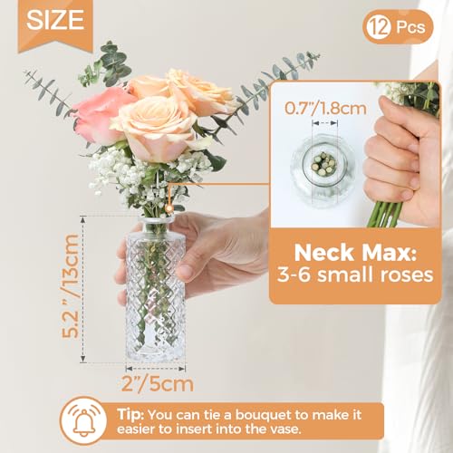 ComSaf Glass Bud Vases Set of 12, Small Diamond Bud Vases in Bulk, Mini Flowers Vases for Centerpieces, Vintage Bottle for Table Decorations, Wedding Decor, Recepetion, Home, (Clear) - color: Clear, size: 12 Pcs