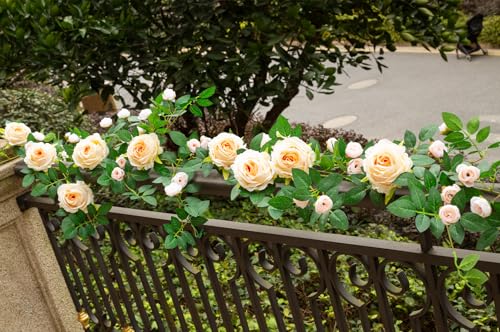 2 PCS 12FT Bendable Flower Garland, Artificial Rose Vine Hanging Floral Garland Decoration for Weding Home Room Wall Decor(Champagne) - color: Champagne, size: 2pcs