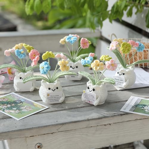 YOOJEE Forget-Me-Not Crochet Flower Potted Plant Gift - color: E-May You Proud of The Work That You Do