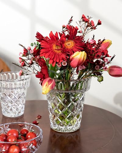 Thickened Glass Vase Embossed Big Base Large 6.1in Wide Mouth Rhombus Clear Vases Esmiome Bowl Bouquet Ribbed with a Hydroponic Baskets Vintage for Aquaponics Orchids Avocado Phalaenopsis Hyacinth