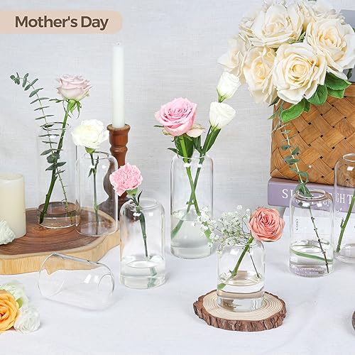 ComSaf Small Flower Vase Set of 12, Glass Bud Vases in Bulk, Clear Vases for Flower, Decor Centerpiece for Bathroom, Decorative Vases for House Warming, Valentines' Day, Mother's Day, Thanksgiving Day