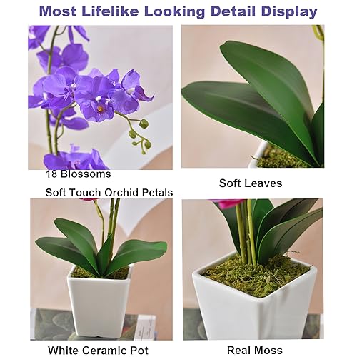 Faux Orchid in Vase Large Artificial Orchid in Ceramic Vase Silk Orchids with Stems Real Look Potted Phalaenopsis Flowers Arrangement Centerpiece Table Decorations for Home Decor Indoor, Purple - color: Y-purple