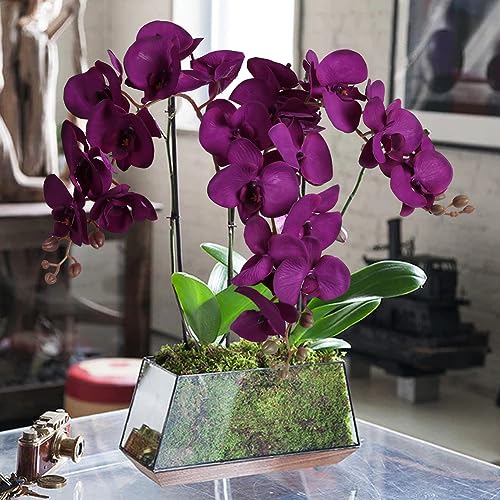 38 Inch Purple Flowers Faux Orchid 6 PCS Orchids Artificial Flowers Velvet Flowers Long Stem Artificial Flowers for Tall Vase for Home Wedding Decoration(Dark Purple) - color: Dark Purple