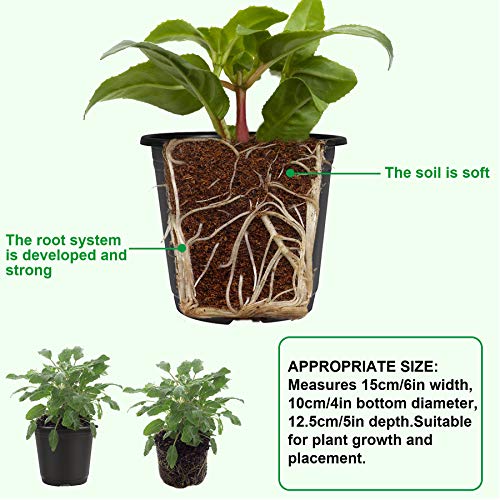 Augshy 110 Pcs 0.5 Gallon Black Plastic Plant Nursery Pots 6 Inches Seed Starting Pots Containers with 110 Labels - size: 6 Inches
